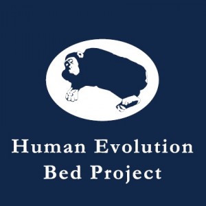 人類進化ベッド、東海エリア初公開