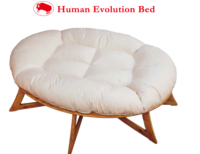 人類進化ベッド