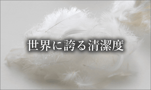 世界に誇る清潔度