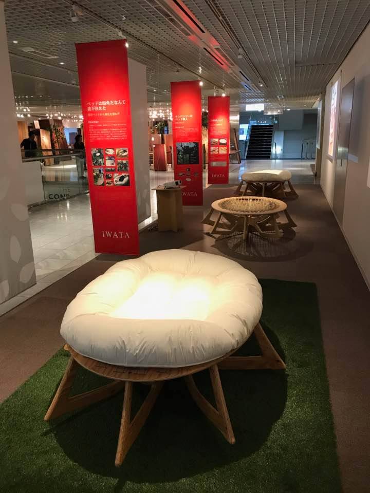 人類進化ベッドの展示風景