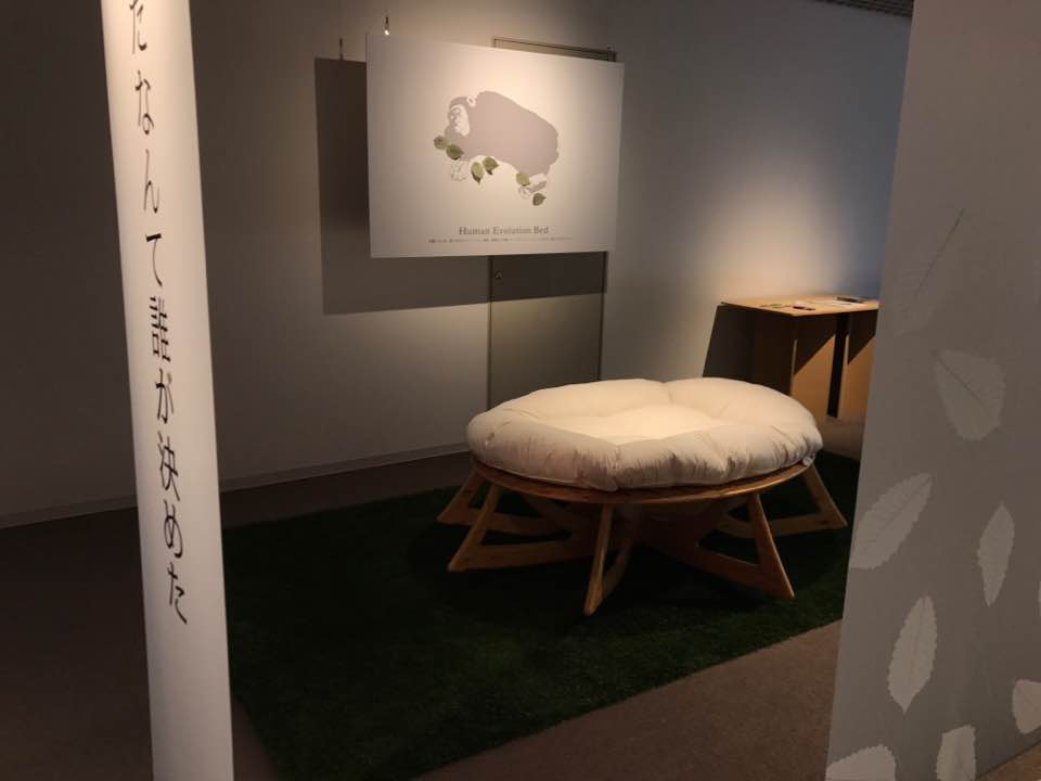 人類進化ベッドの展示風景